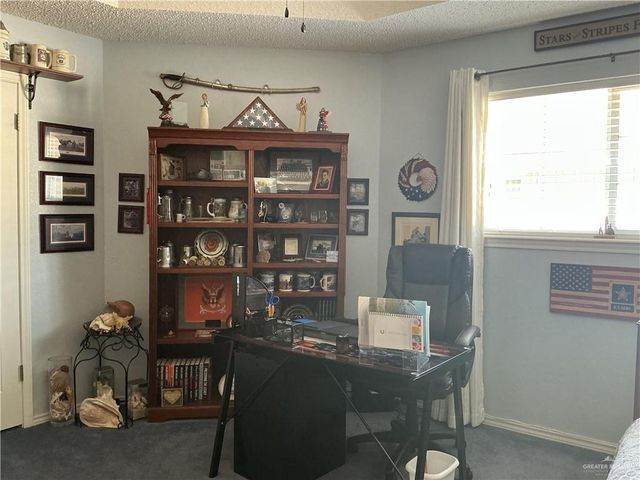 250 Diana Drive, Alamo, TX 78516