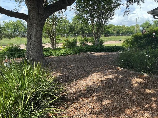 250 Diana Drive, Alamo, TX 78516