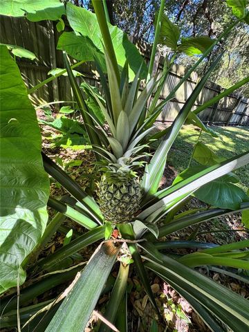 153 DUNCAN TRAIL, Longwood, FL 32779