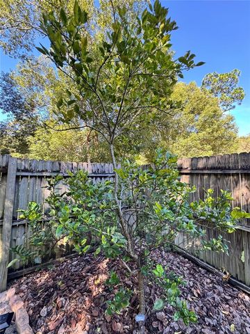 153 DUNCAN TRAIL, Longwood, FL 32779