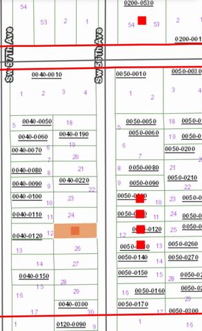 SW 56th Ave, Interlachen, FL 32148