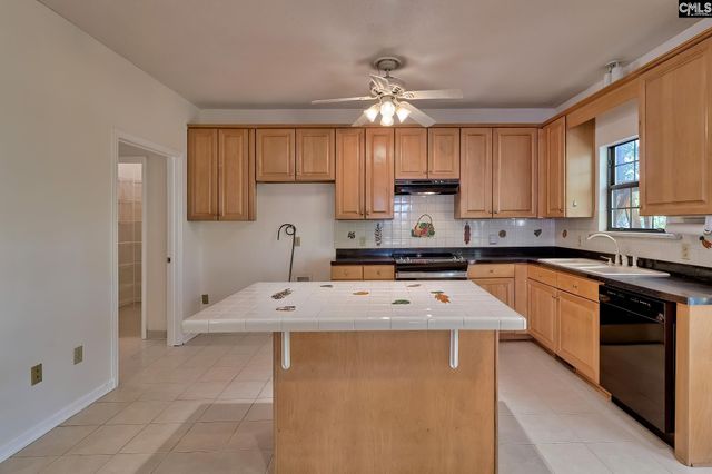 230 Cedar Shoals Way, Blythewood, SC 29016