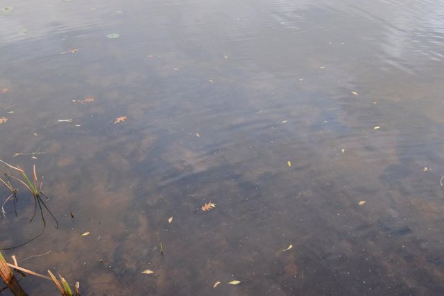 11608 Stillson Road, Luck, WI 54853