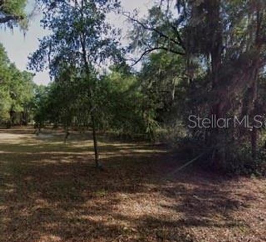 3009 W LAUREL STREET, Lecanto, FL 34461