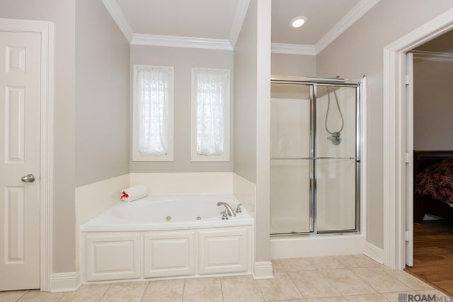 807 Spanish Oaks Dr, Brusly, LA 70719