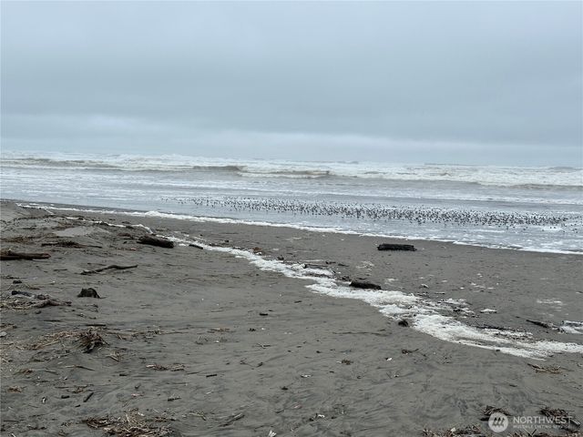 1323 196th Place, Long Beach, WA 98631