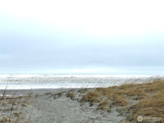 1323 196th Place, Long Beach, WA 98631