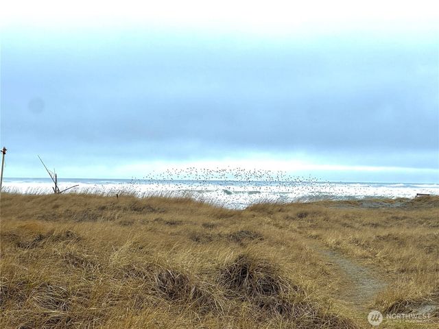 1323 196th Place, Long Beach, WA 98631