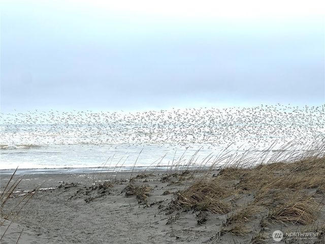 1323 196th Place, Long Beach, WA 98631