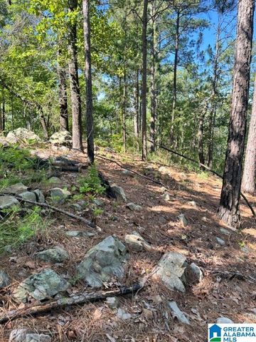 130 MOUNTAIN CREST ROAD, Chelsea, AL 35043