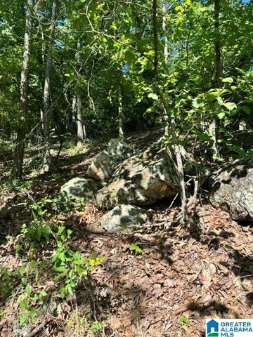 130 MOUNTAIN CREST ROAD, Chelsea, AL 35043