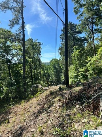 130 MOUNTAIN CREST ROAD, Chelsea, AL 35043