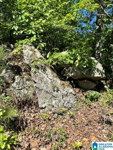 130 MOUNTAIN CREST ROAD, Chelsea, AL 35043