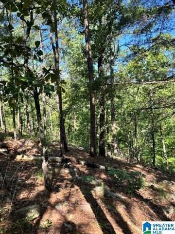 130 MOUNTAIN CREST ROAD, Chelsea, AL 35043