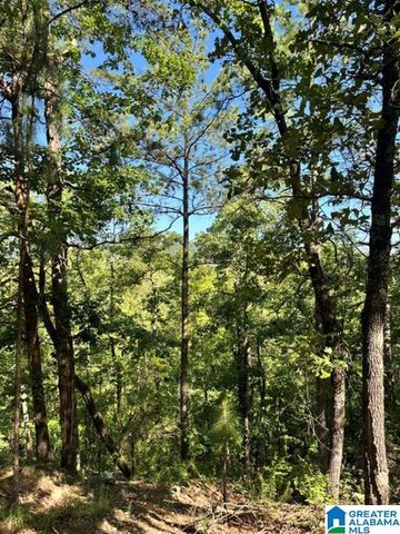 130 MOUNTAIN CREST ROAD, Chelsea, AL 35043