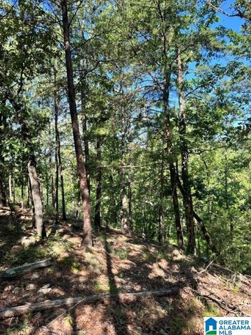 130 MOUNTAIN CREST ROAD, Chelsea, AL 35043