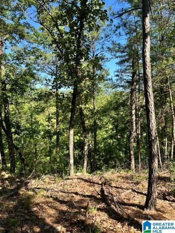 130 MOUNTAIN CREST ROAD, Chelsea, AL 35043