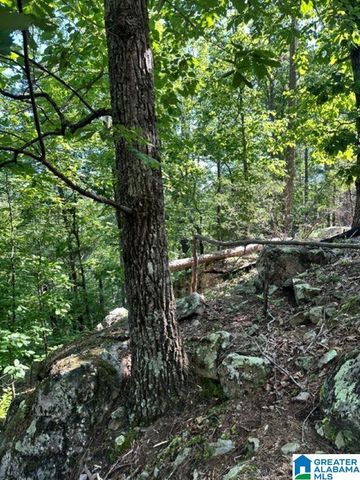 130 MOUNTAIN CREST ROAD, Chelsea, AL 35043
