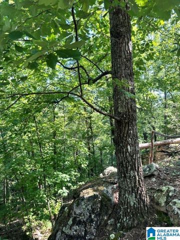 130 MOUNTAIN CREST ROAD, Chelsea, AL 35043