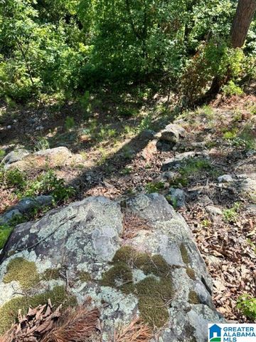 130 MOUNTAIN CREST ROAD, Chelsea, AL 35043