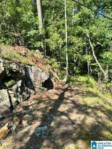 130 MOUNTAIN CREST ROAD, Chelsea, AL 35043