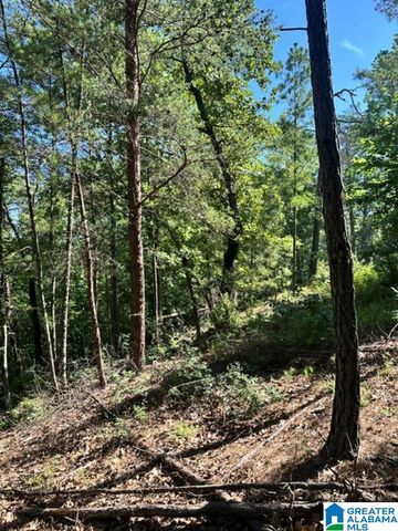 130 MOUNTAIN CREST ROAD, Chelsea, AL 35043