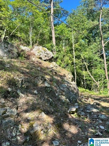 130 MOUNTAIN CREST ROAD, Chelsea, AL 35043