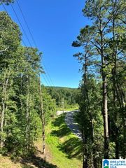 130 MOUNTAIN CREST ROAD, Chelsea, AL 35043