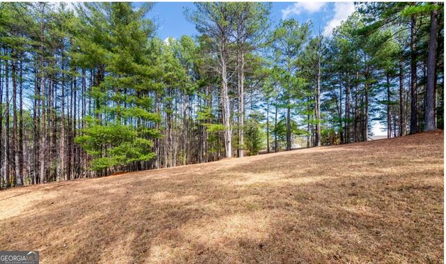 LOT 87 CREEK HOLLOW LANE, Blairsville, GA 30512