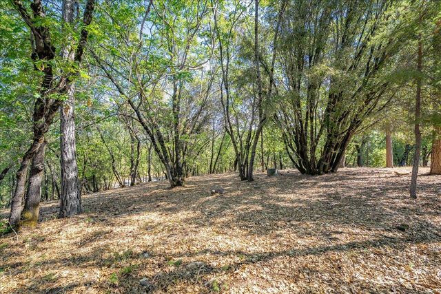 740 Big John Ridge Dr, Weimar, CA 95713