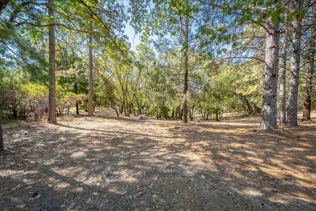 740 Big John Ridge Dr, Weimar, CA 95713