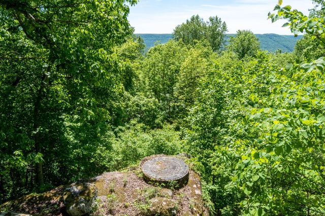 167 Pollywood Ln, Sewanee, TN 37375