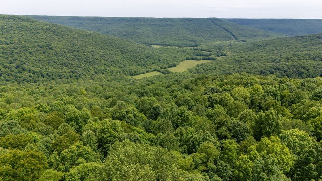 167 Pollywood Ln, Sewanee, TN 37375
