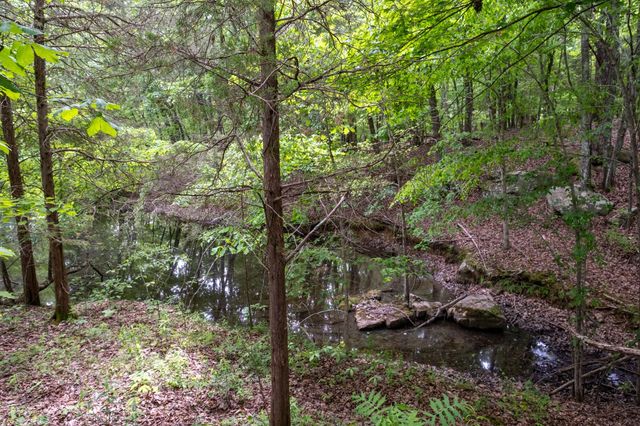 167 Pollywood Ln, Sewanee, TN 37375