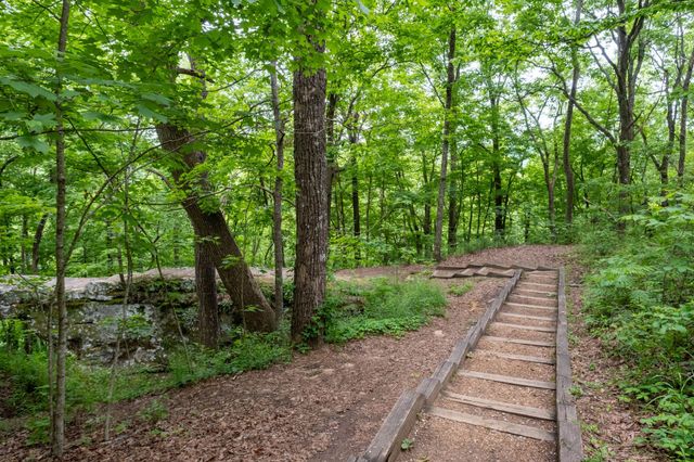 167 Pollywood Ln, Sewanee, TN 37375