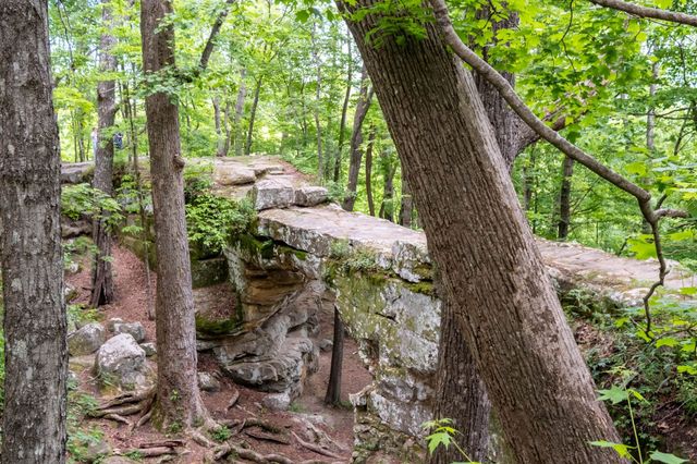 167 Pollywood Ln, Sewanee, TN 37375