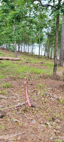 2948 Jumping Run 88, Connelly Springs, NC 28612
