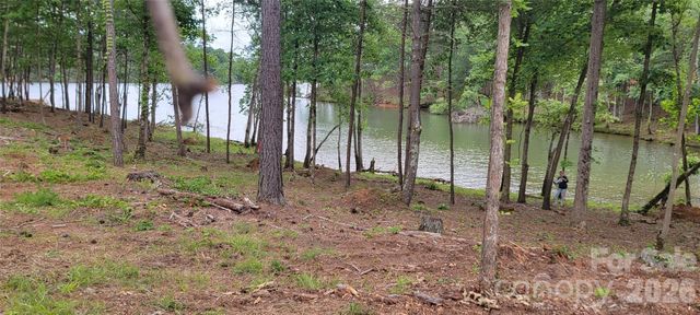 2948 Jumping Run 88, Connelly Springs, NC 28612