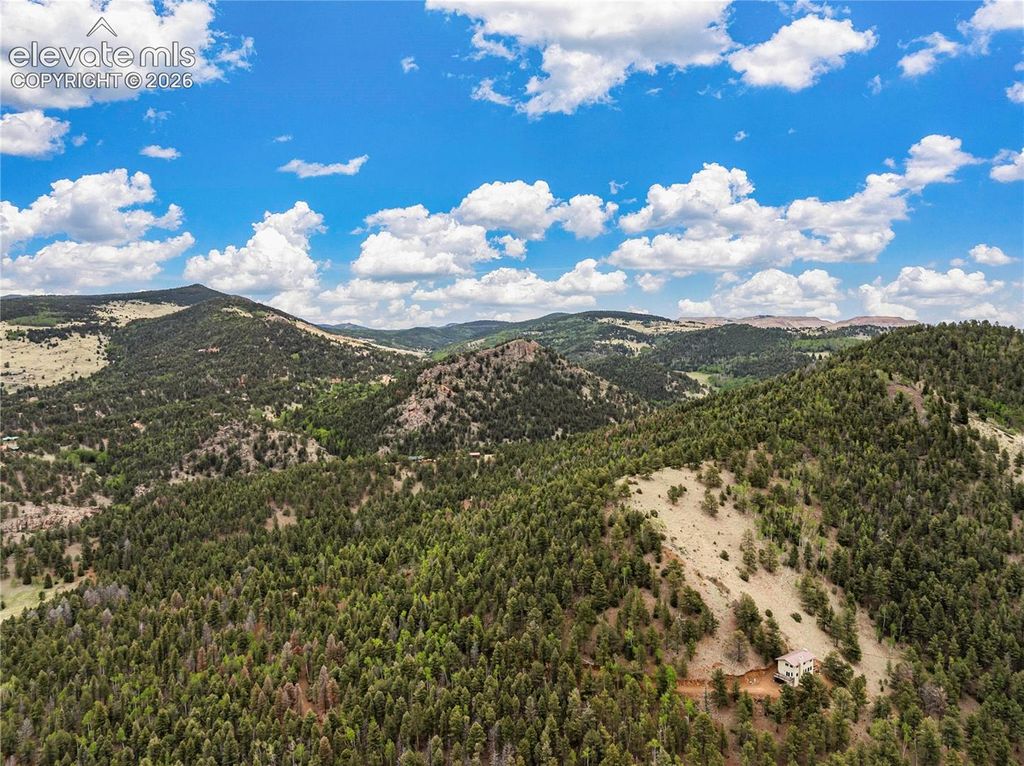 3043 County Road 1, Cripple Creek, CO 80813 — photo 3