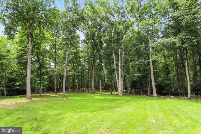 11109 ELMVIEW PL, Great Falls, VA 22066