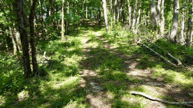 1271 Thompson Hill Rd, Bethpage, TN 37022