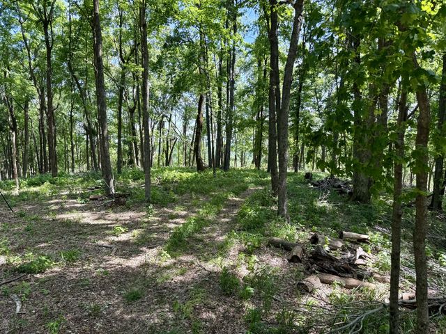 1271 Thompson Hill Rd, Bethpage, TN 37022