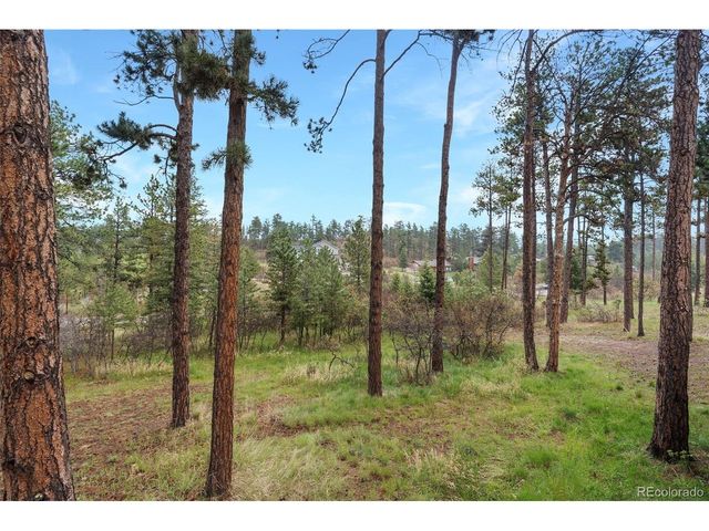 8170 Red Rock Ct, Larkspur, CO 80118
