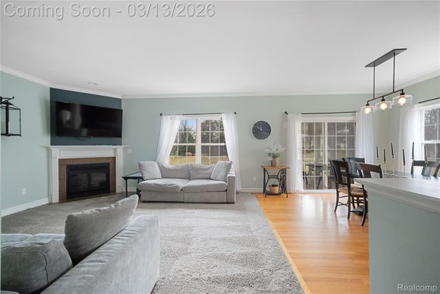 16226 River Ridge Trail, Argentine Township, MI 48451