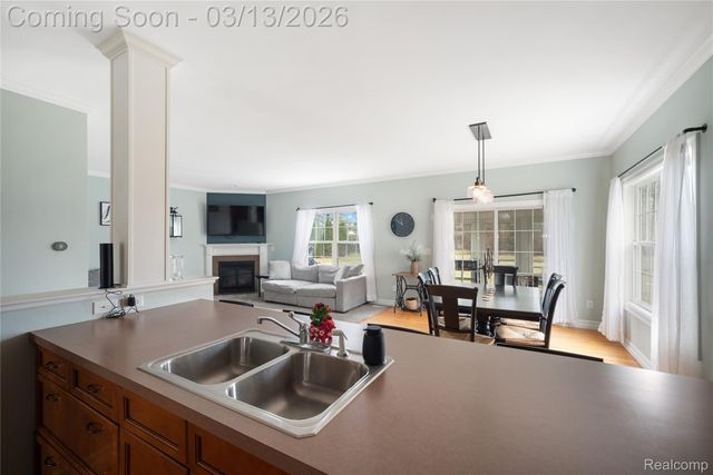 16226 River Ridge Trail, Argentine Township, MI 48451