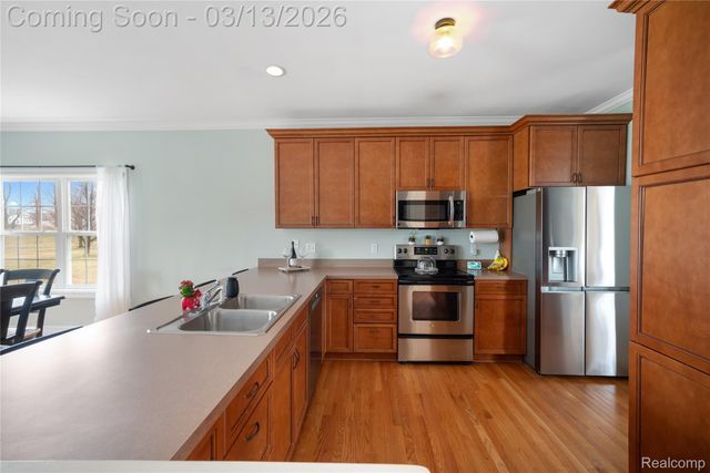 16226 River Ridge Trail, Argentine Township, MI 48451