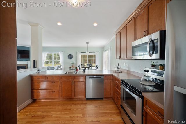 16226 River Ridge Trail, Argentine Township, MI 48451