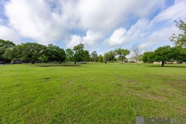 14035 Tiggy Duplessis Rd, Gonzales, LA 70737