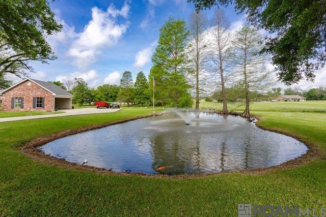 14035 Tiggy Duplessis Rd, Gonzales, LA 70737