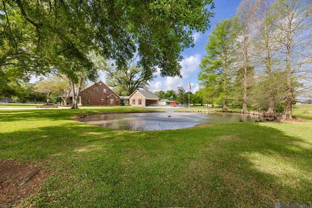 14035 Tiggy Duplessis Rd, Gonzales, LA 70737